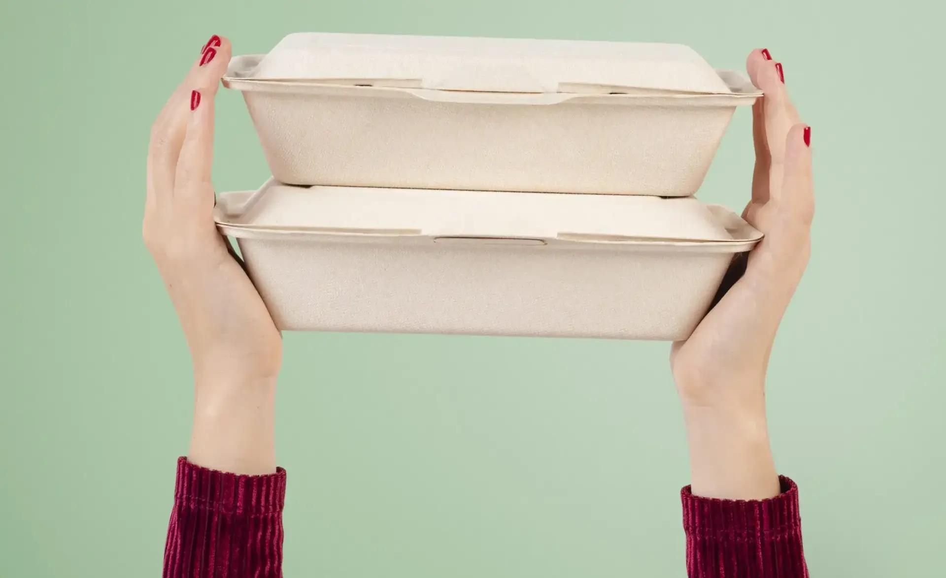 Sugarcan Pulp Products | Earth Relief