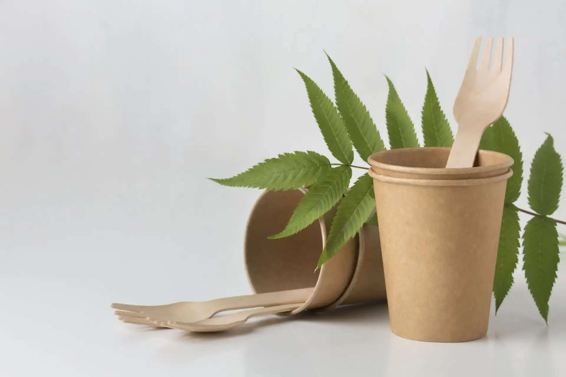 bamboo cutlery Bio Degradable Products | Earth Relief